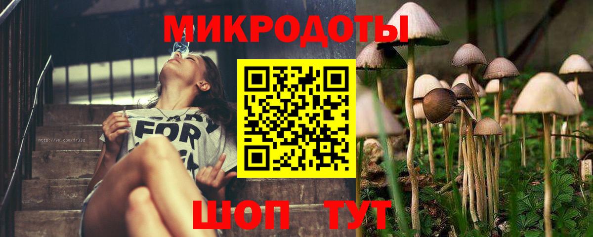 Десногорск  Галлюциногенные грибы Psilocybine cubensis  Вход с VPN 